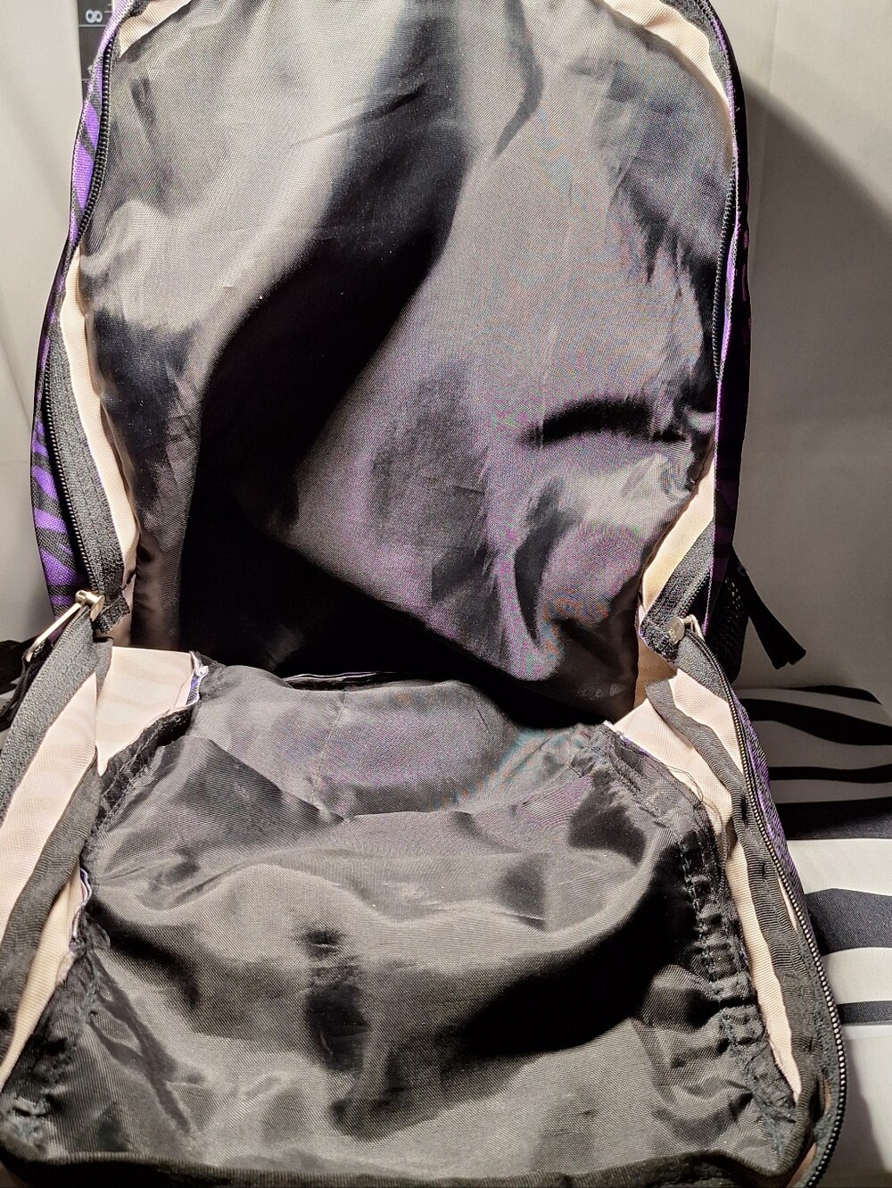 Jansport Backpack, Zebra Stripes, Blue Purple Black - Picture 9 of 13